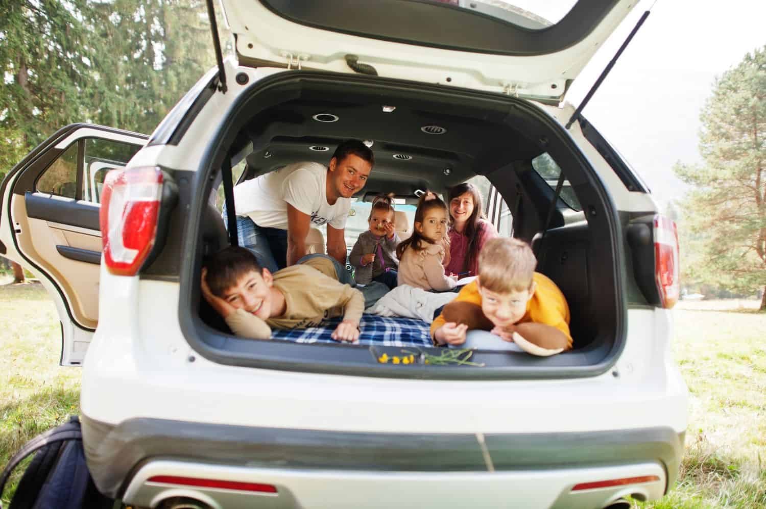 cargo liners